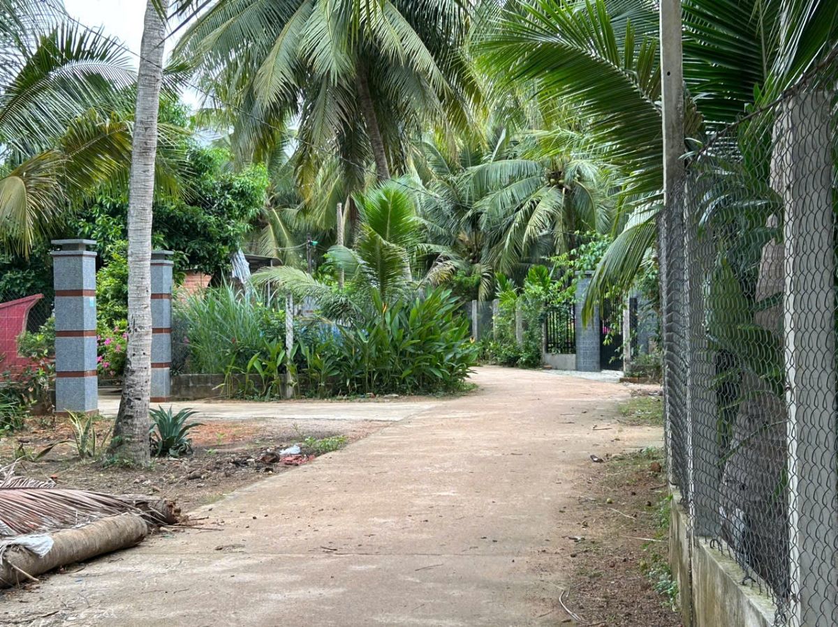 đất vườn hoài xuân hoài nhơn